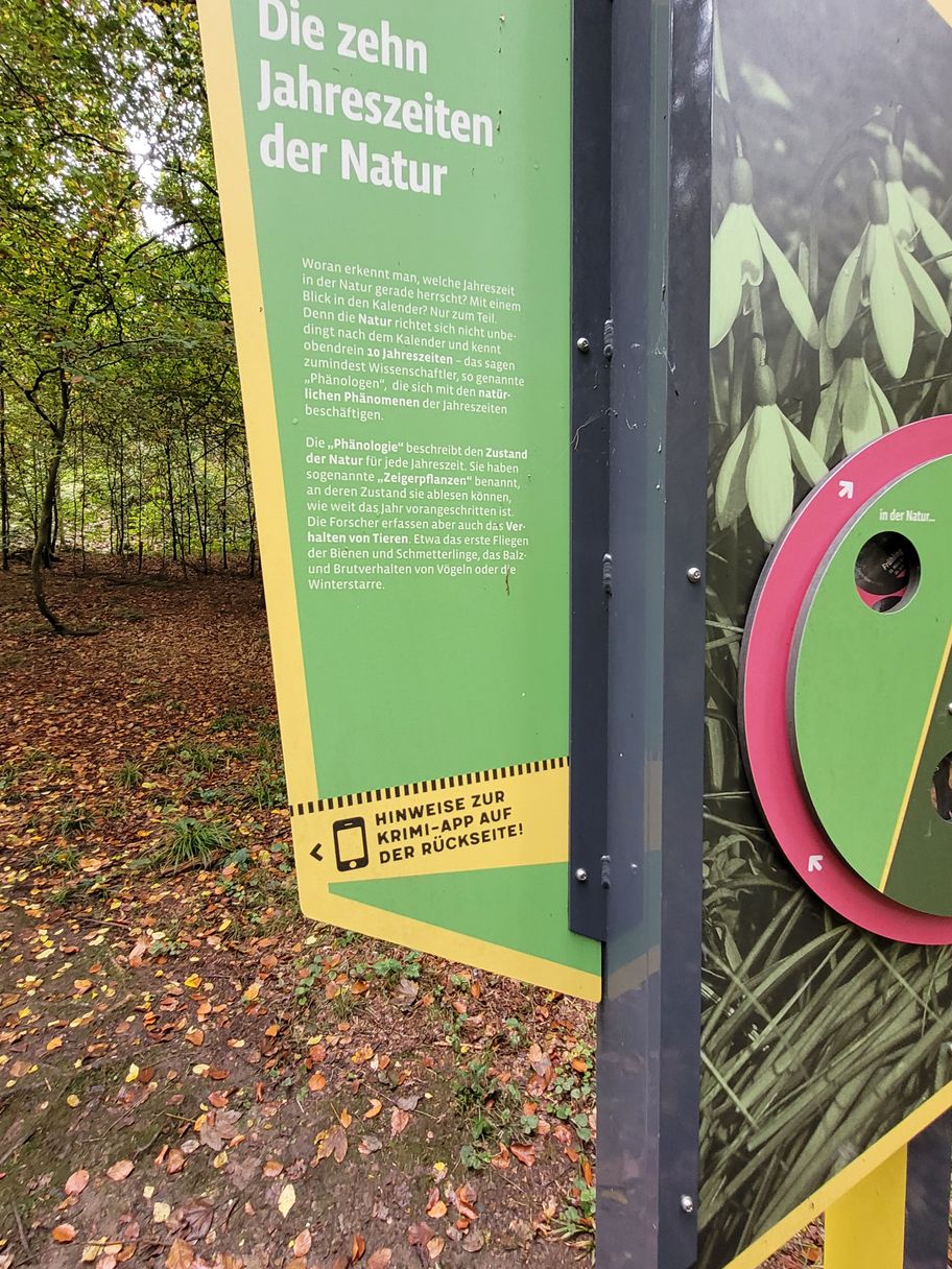 Hansenhohl Thannhausen.jpg