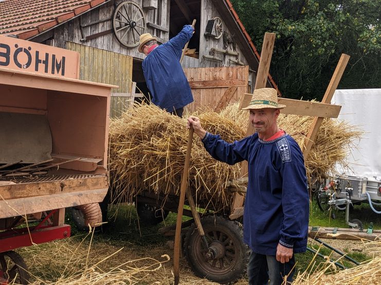 Getreide dreschen wie anno dazumal