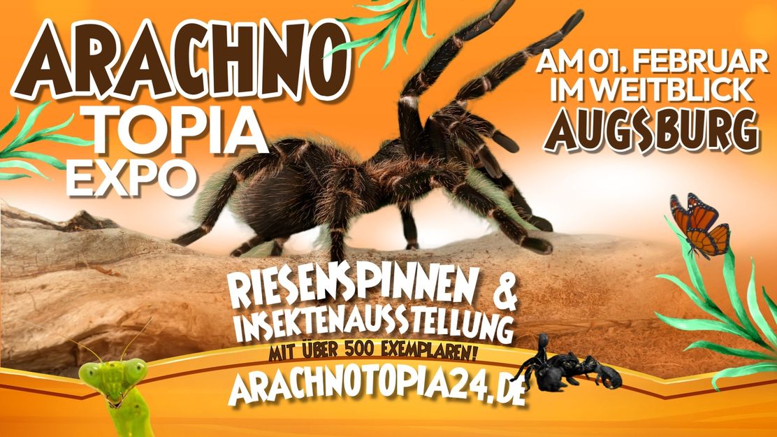 Arachnotopia - Riesenspinnen und Insektenausstellung