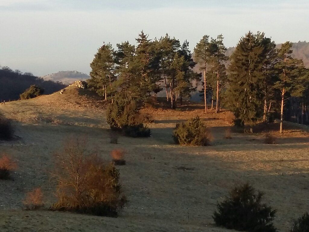 Führung ins Kohlenbachtal und auf dem Sonderhof "Rosenhof"