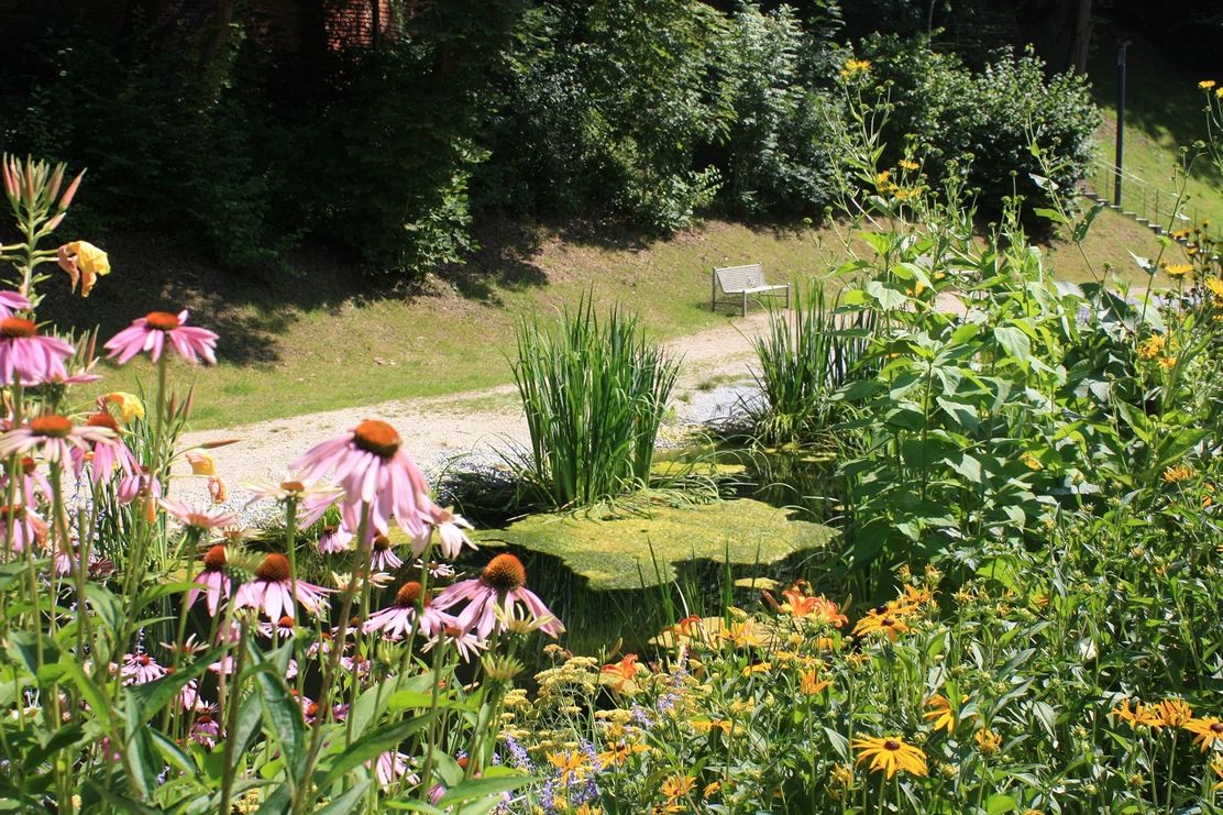 Schlossweiher Friedberg