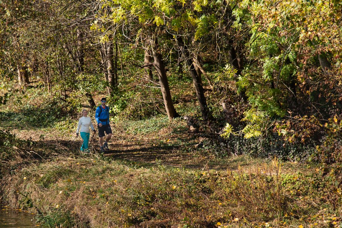 Nordic Walking
