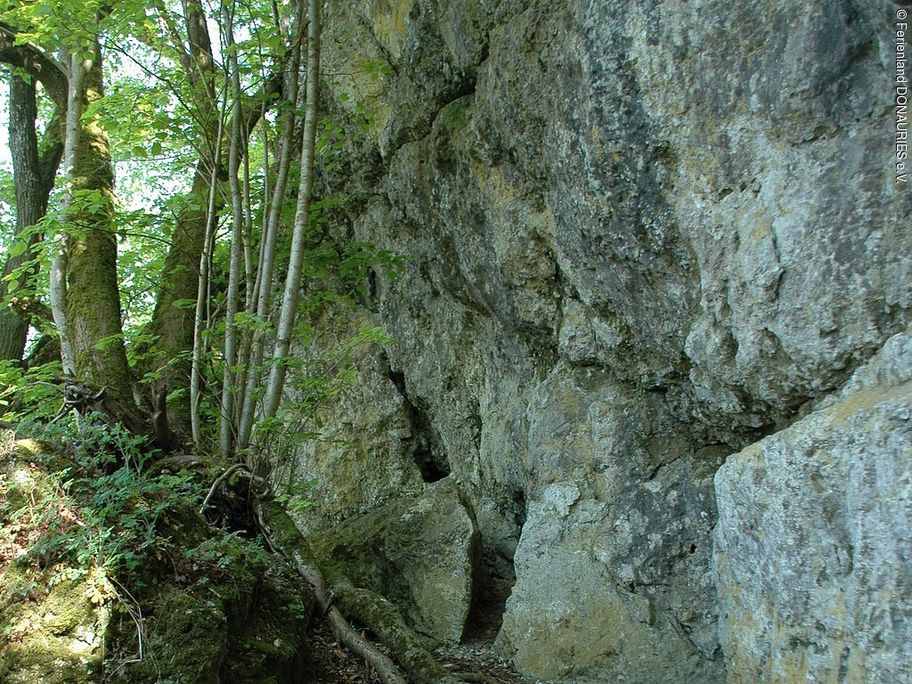 Pfad zur Höhle