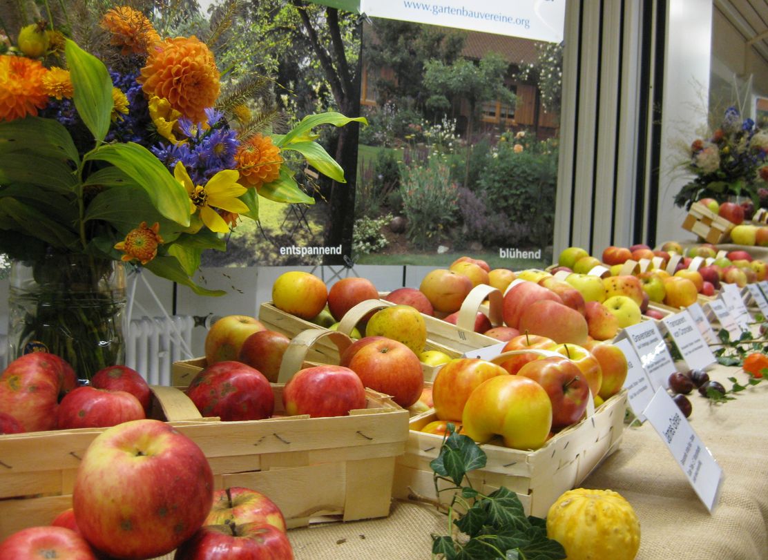 Obstvielfalt im Landkreis Neu-Ulm