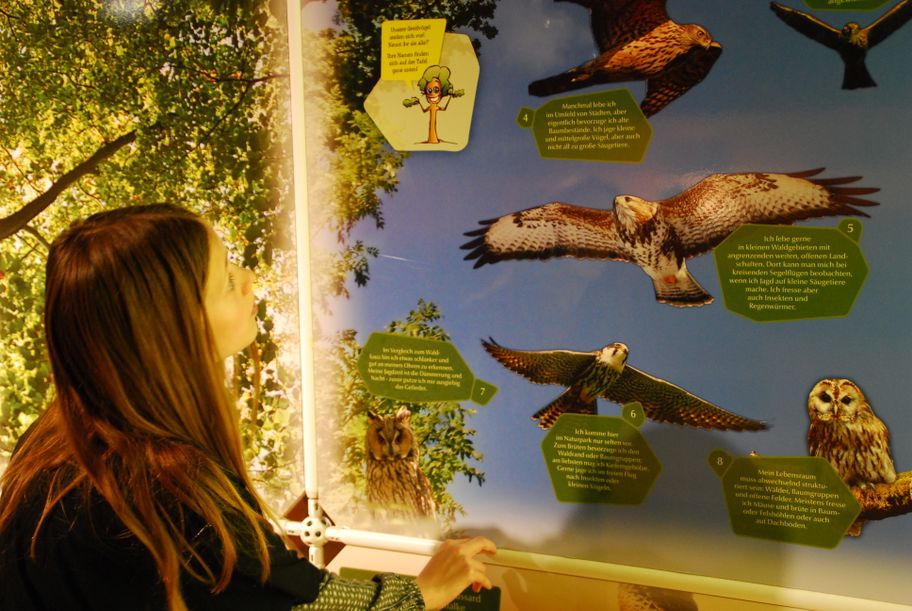 Naturparkhaus Ausstellung