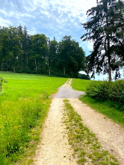 Am Waldrand Richtung Niederraunau