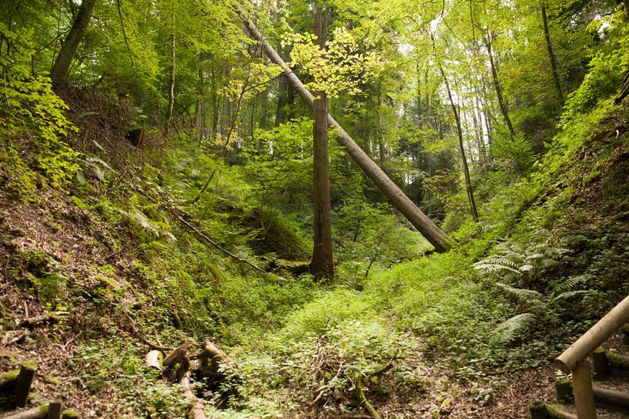 Naturerlebnispfad Hansenhohl