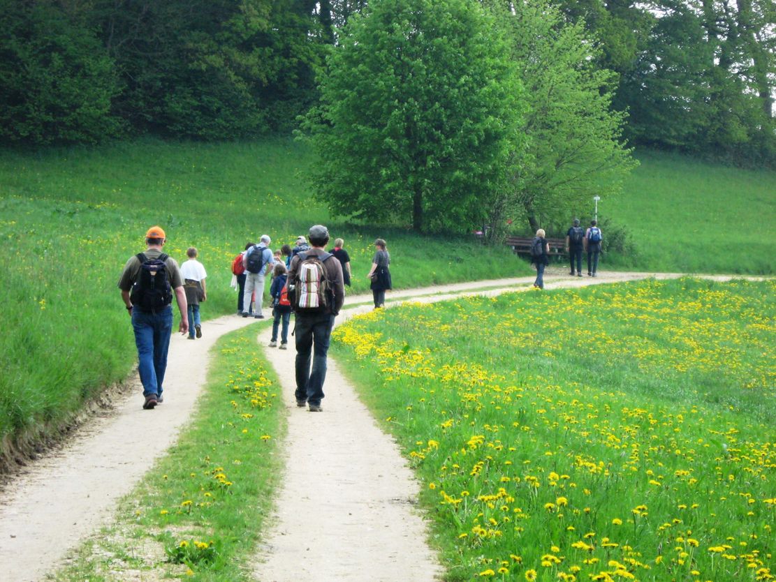 Rund um Pfaffenhofen