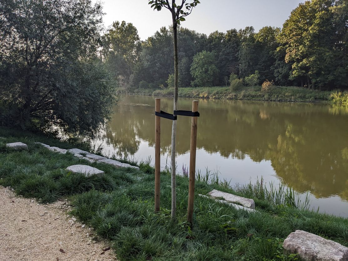 Bootsanlagestelle oberhalb der Donaubrücke (2)