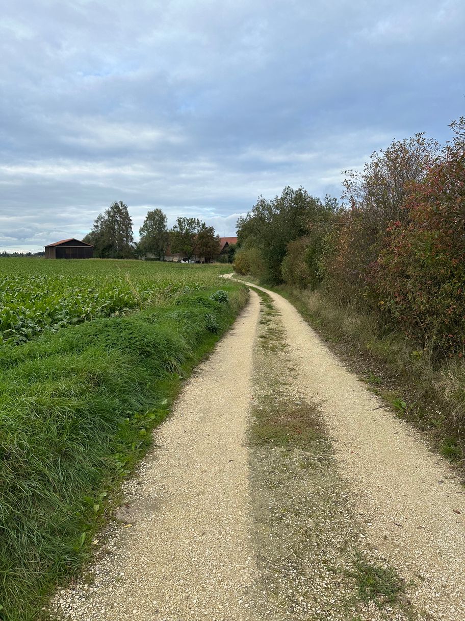 Weg nahe des Glaserhofs