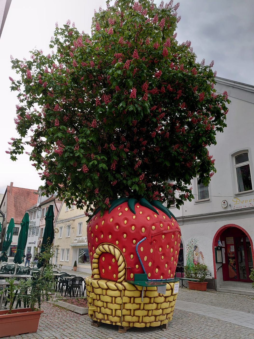 Ferienwohnungen Bögner
