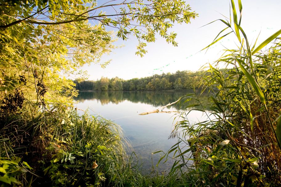 Natursee an der Iller bei Senden