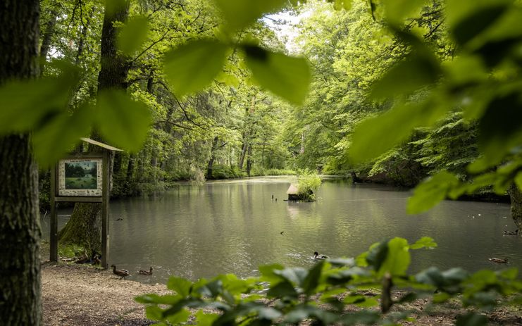 2021-08-27 Neue Broschüre Stadt Weissenhorn-001.jpg