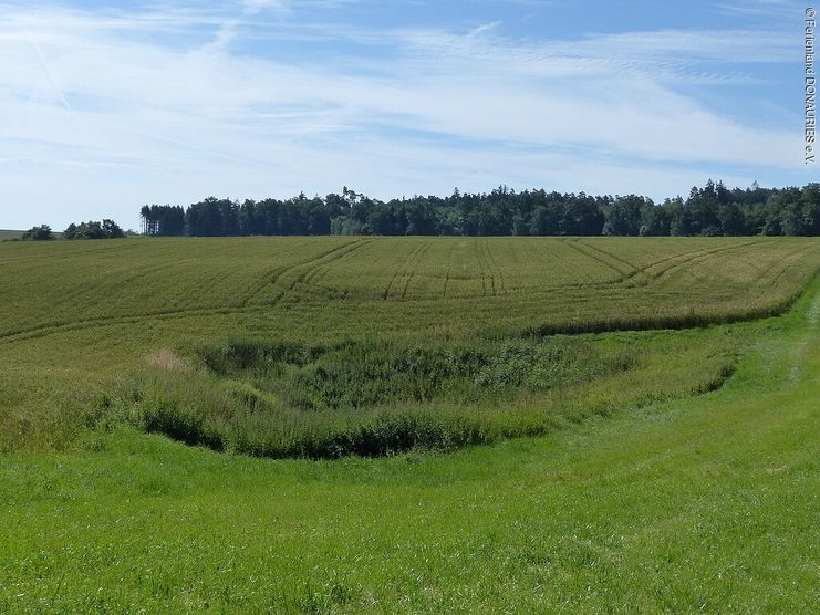 Dolinenlehrpfad