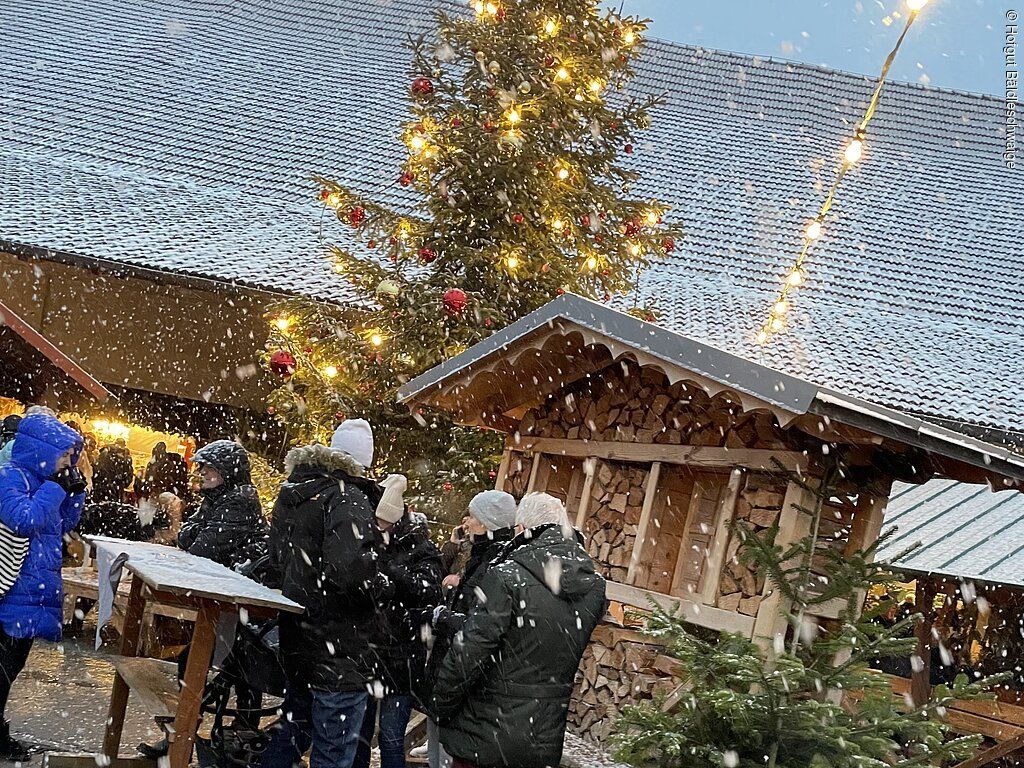 gemeinsames Weihnachtsliedersingen mit Erna Dirschinger und den Bäldlemusikanten im Hof