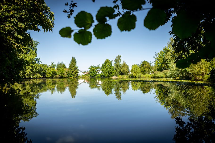 Mooswaldsee Günzburg
