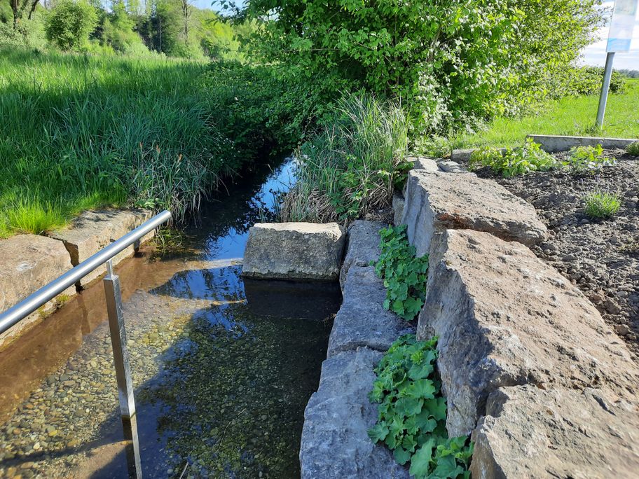 Kneippbecken Mohrenhausen