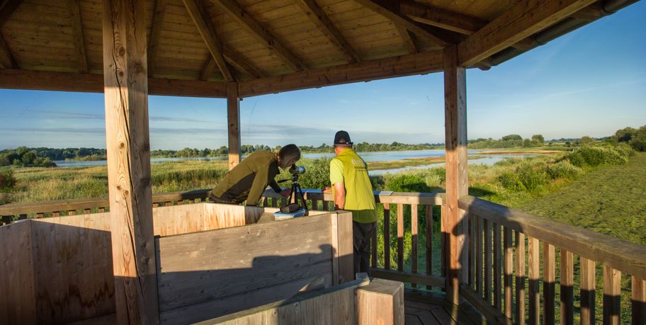 Donaumoos Aussichtsturm