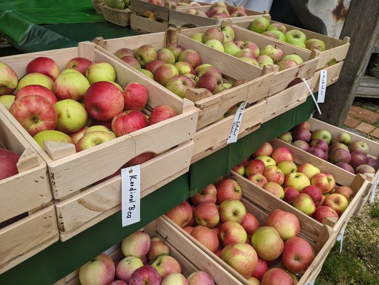Apfel- und Kartoffelmarkt - Entdecken und Schmecken