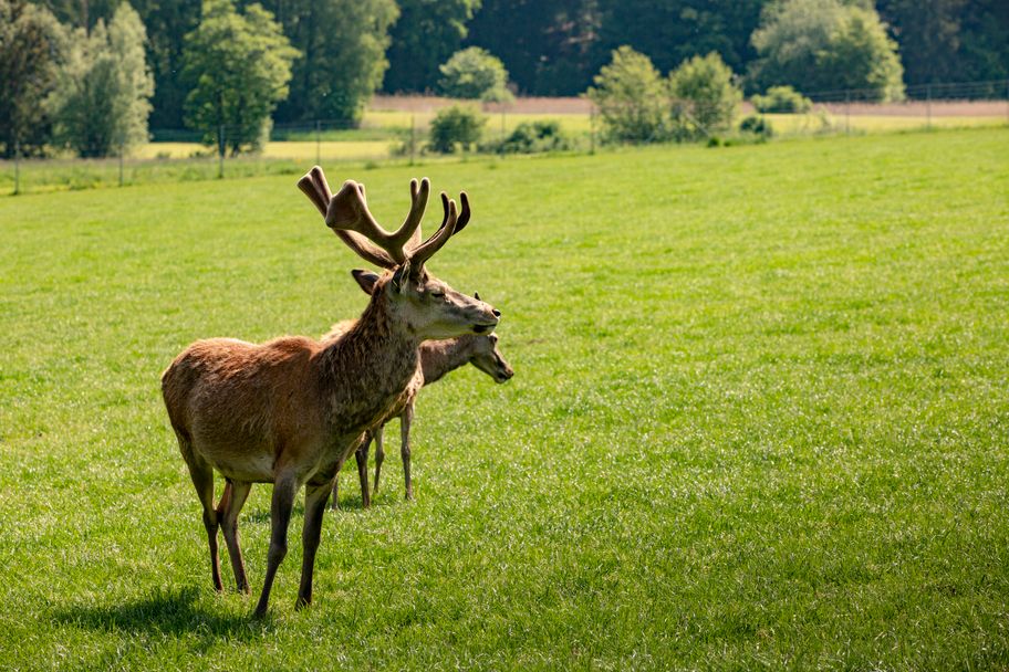 Streifzüge Panoramaweg