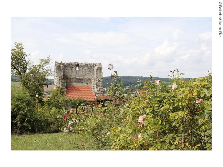 14171877_garten_ruine-graisbach.jpg