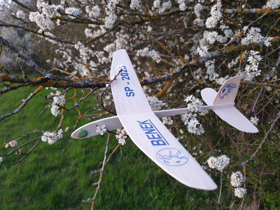 Bastel-Workshop für Kinder: Fluggleiter BENEK SP-2020