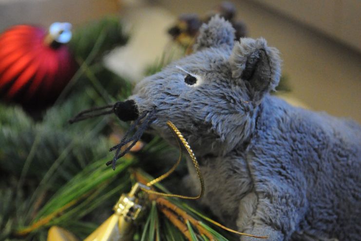Kinderprogramm "Fips, die Museumsmaus. Eine Geschichte zur Winterzeit"