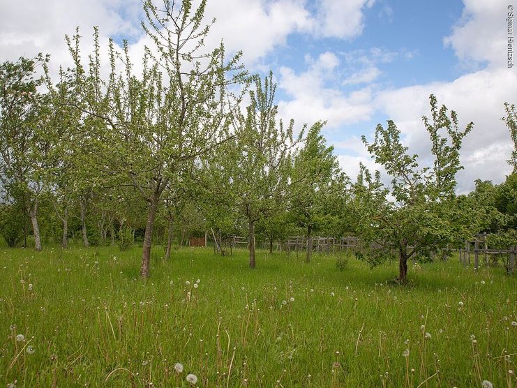 Waldpark am Heidebrünnl