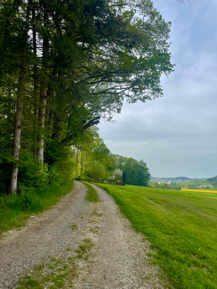 Ausblick zu Beginn