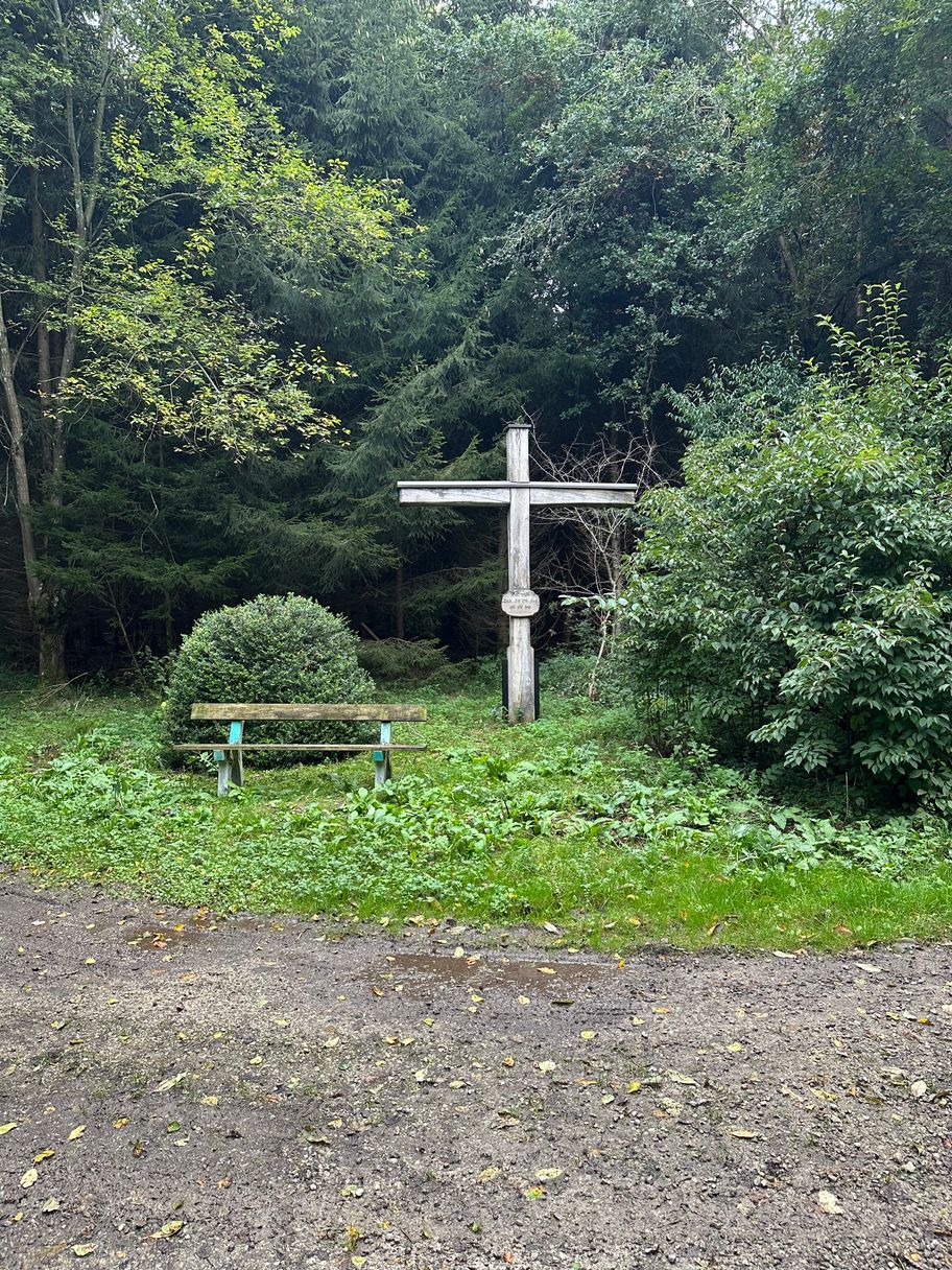 Sitzmöglichkeit im Wald