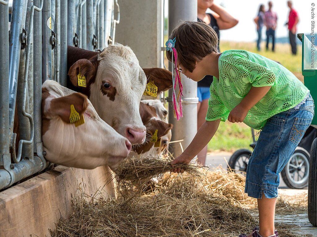 Johannes Hof - Der Erlebnisbauernhof