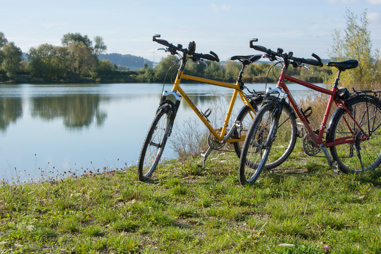 Rast an der Donau