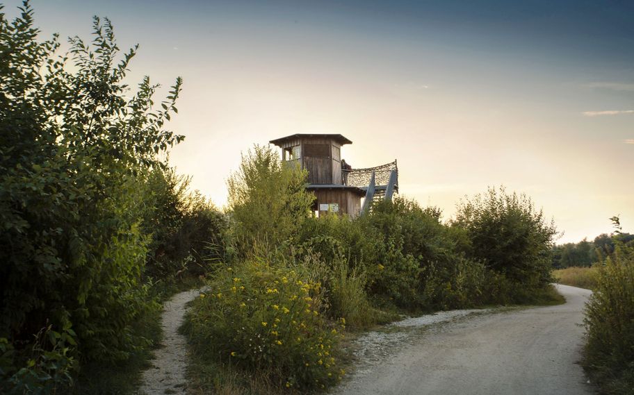 Neu-Ulm Plessenteich mit Beobachtungsturm