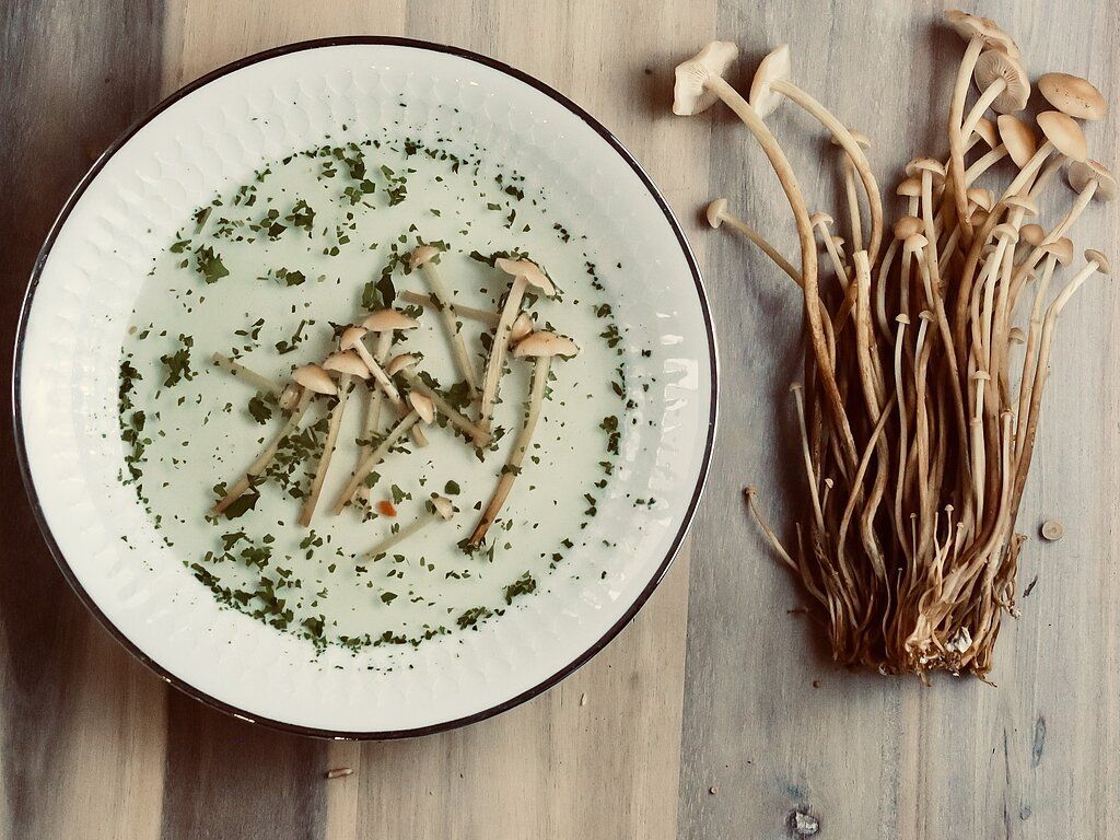 Kulinarischer Kurs "Edelpilze kreativ kochen"