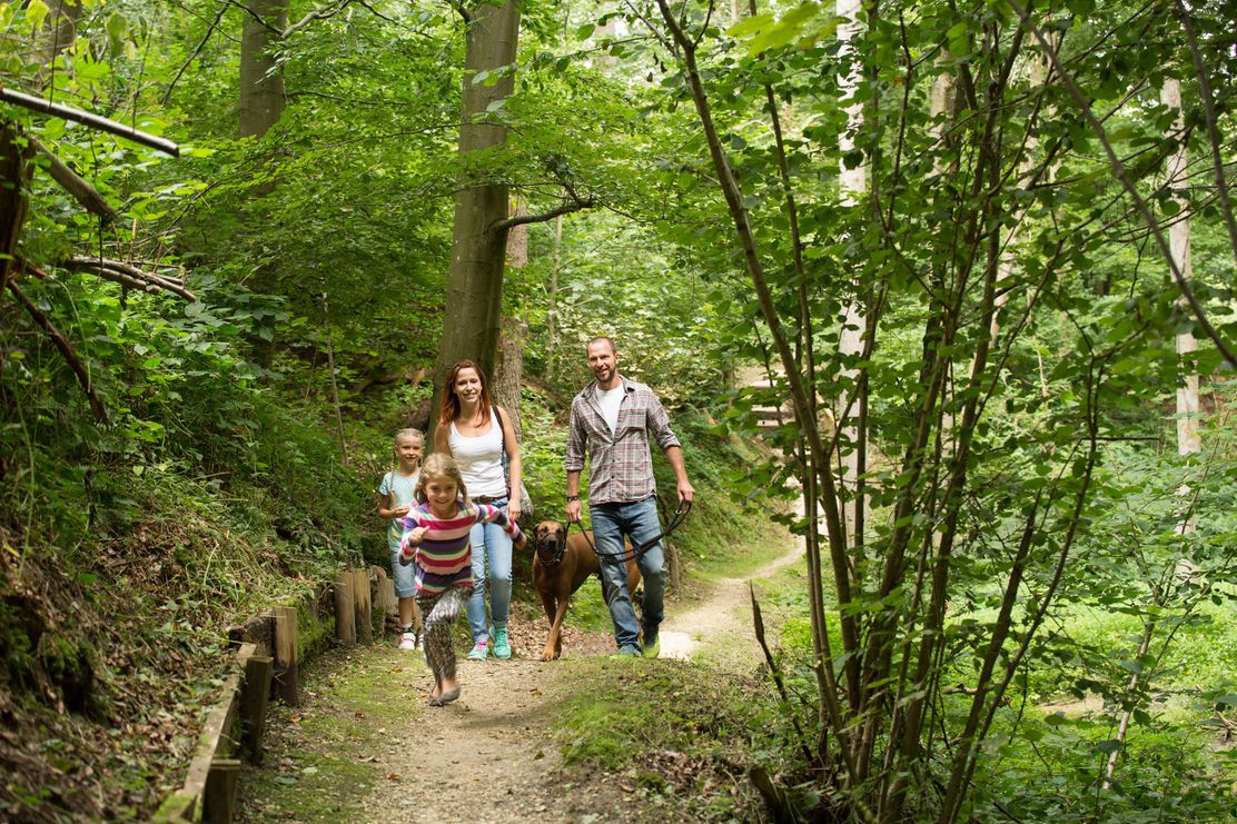 Naturerlebnispfad Hansenhohl