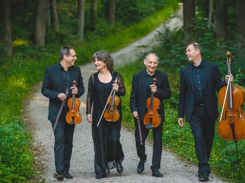 Internationales Violinfestival