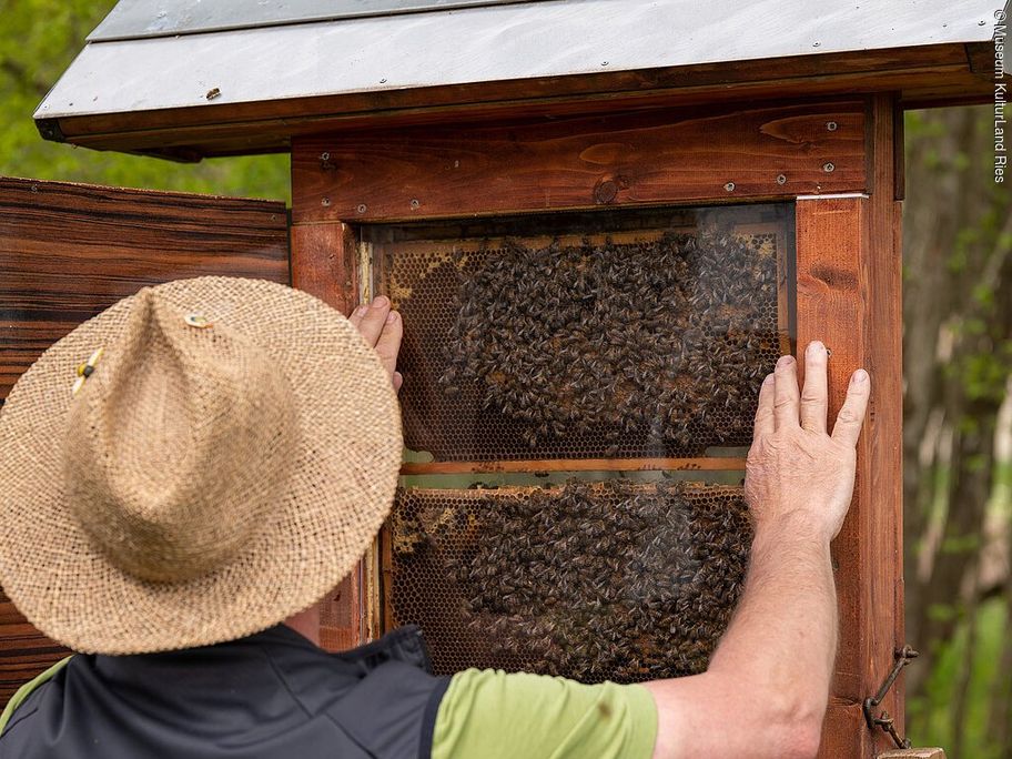 13136169_2022-04-21_mklr_bienen-garten_174_matthias_meyer.jpg