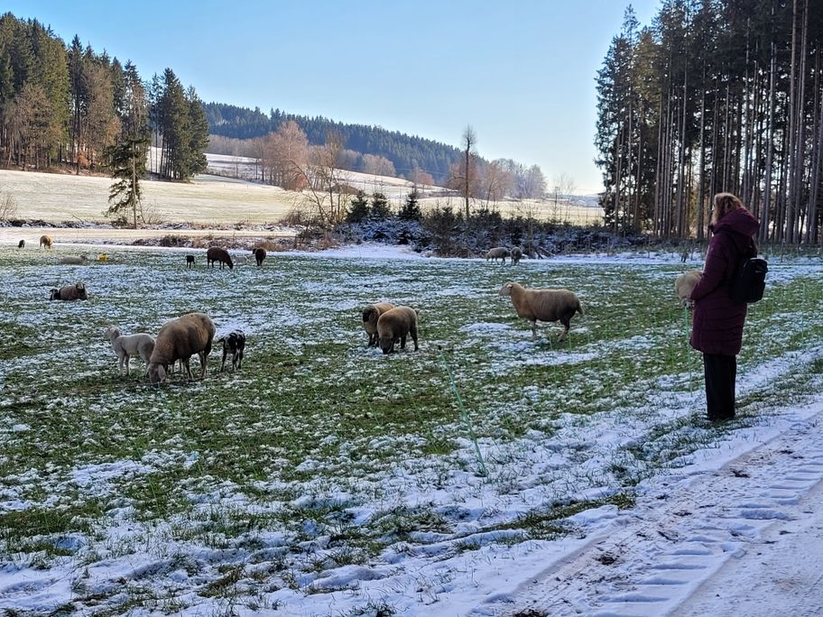 Schöne Begegnung im Haseltal.