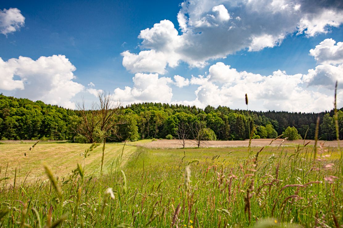 Streifzüge Panoramaweg