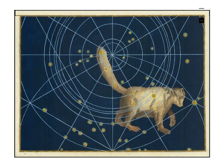 Ioannis Bayeri Rhainani´s neue Himmelsordnung