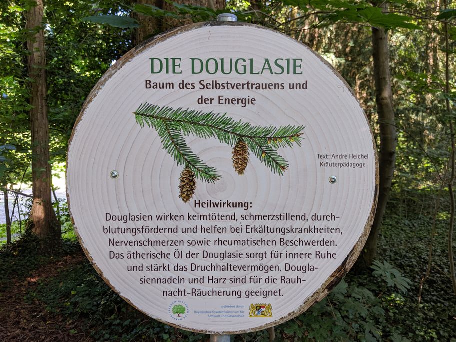 Baumheilpfad Burtenbach