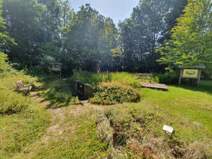 Gartentag 2025 schauen- erleben – genießen