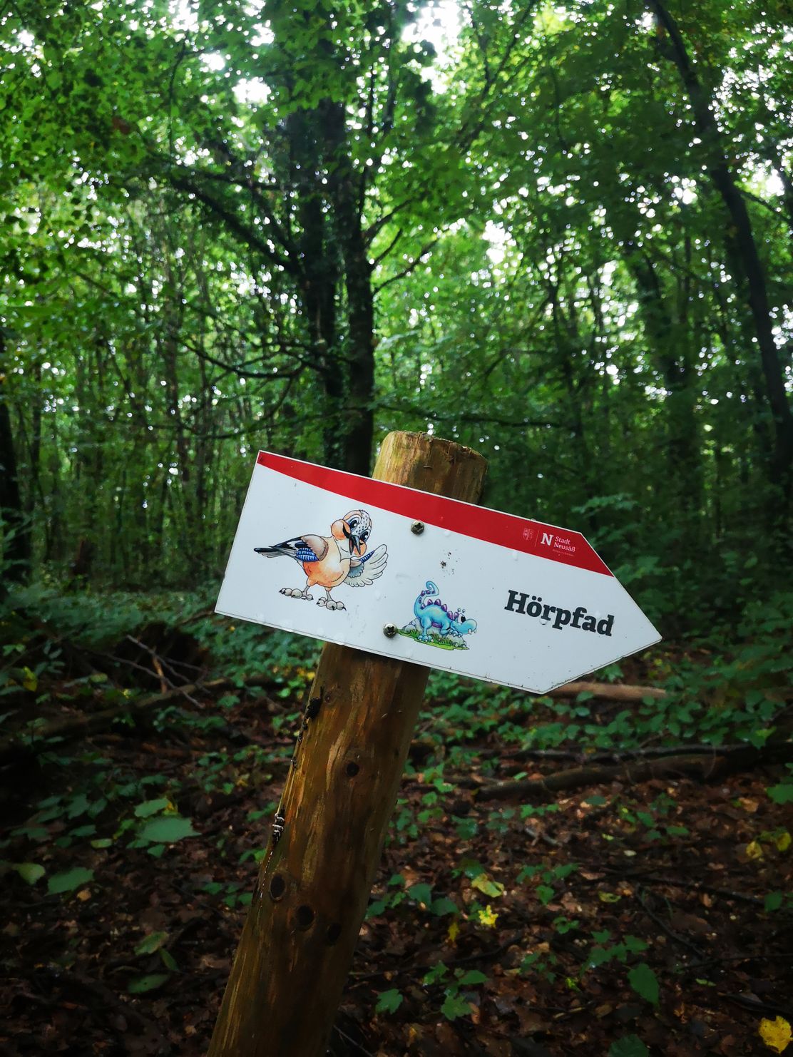 Hörpfad im Lohwald_Neusäß_Beatrix Böck_ CC BY SA (2).jpg