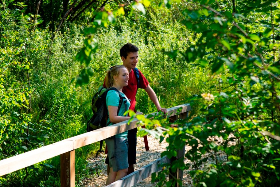 Wanderer auf dem DonAUwald