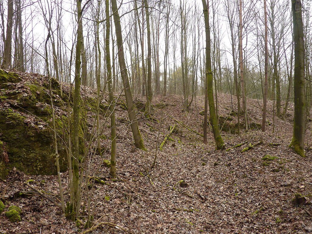 Wallanlage auf dem Klosterberg