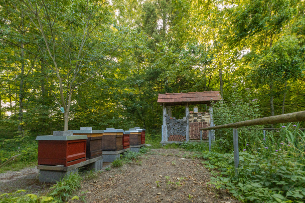Lehrbienenstand Holzheim