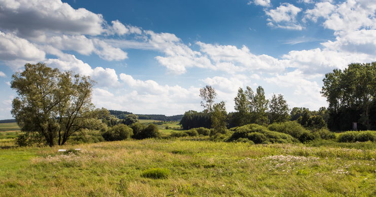 Dattenhauser Ried