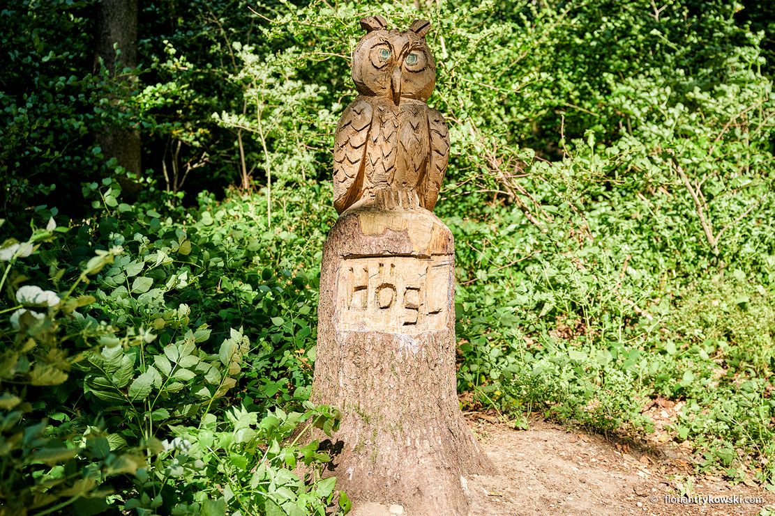 Ried_Höglwald_Walderlebnispfad_(c)F. Trykowski.jpg