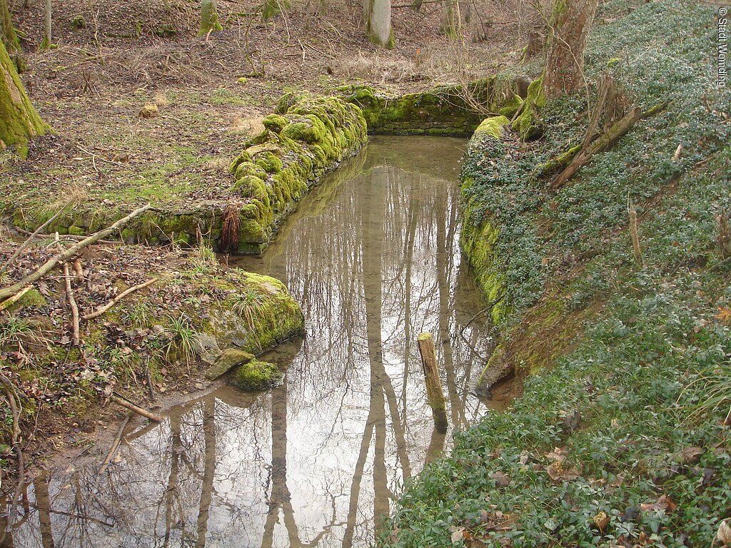 Doosquelle