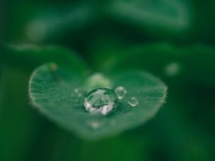 Unsplash, Aaron Burden